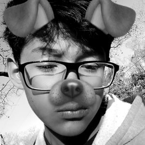 Meet your Posher, Eddy